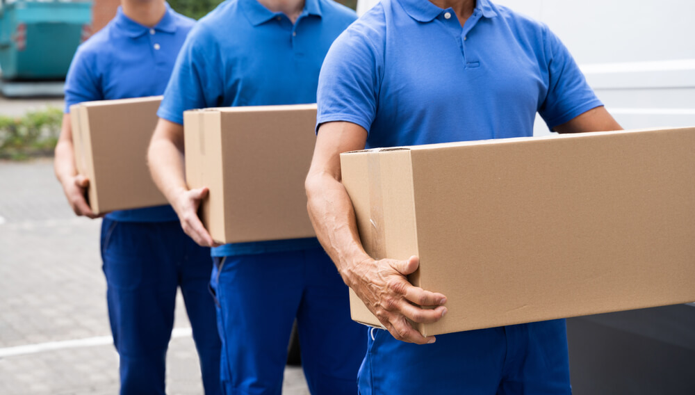 Top-rated Movers Palm Coast