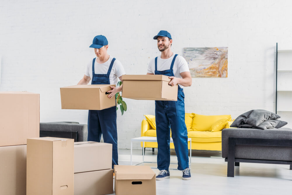 Best Moving Company For Long-Distance Moves From Nokomis